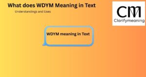 WDYM meaning in Chat
