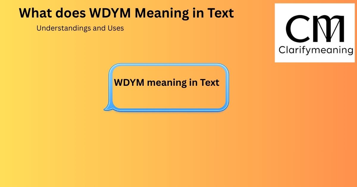 WDYM meaning in Chat