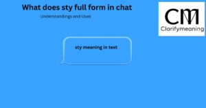 sty full form in chat