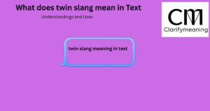 twin slang meaning