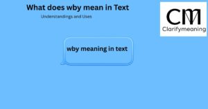 wby meaning in text