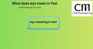 wys meaning in text